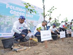 Semarak HUT RI Ke-79, PT PIL Lakukan Program Tanam Pohon