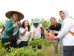 Menjaga inflasi tetap terkendali dalam sasaran