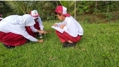 Cerita Kurikulum Merdeka: Bu Susi dan Petani Cilik Kebun Salak