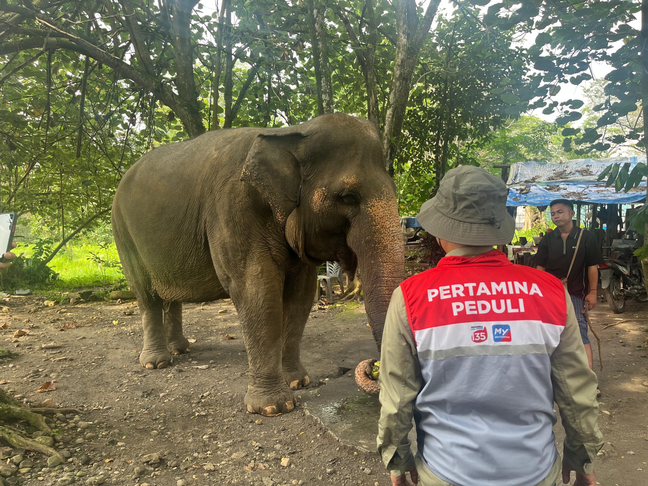 Pertamina Patra Niaga Salurkan Bantuan Pakan Satwa untuk Central Park Zoo dan Medan Zoo