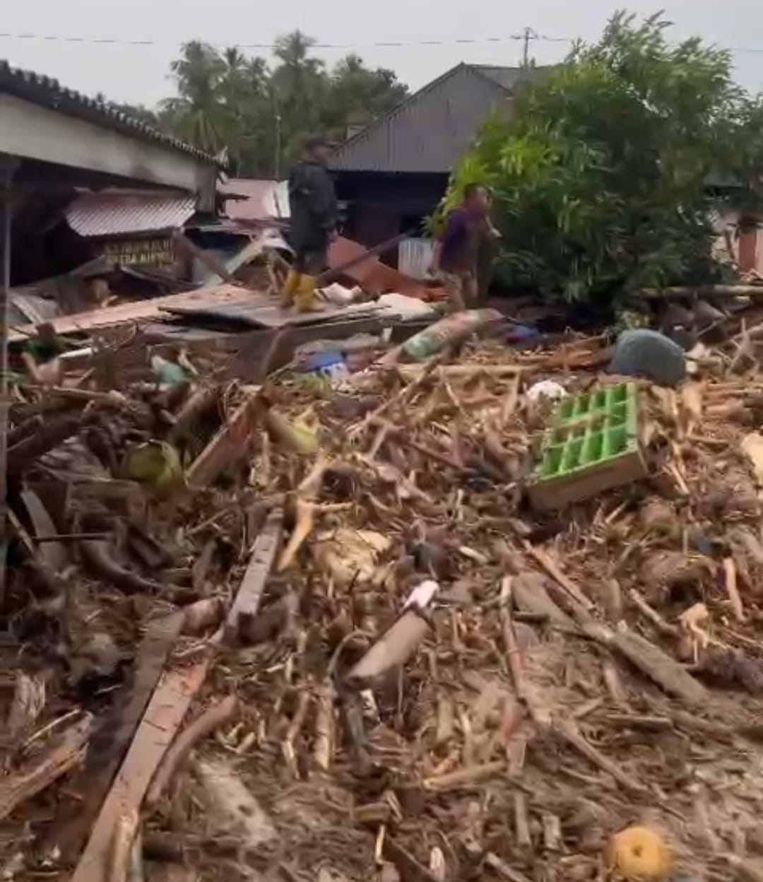 Banjir Bandang Tapsel, Ratusan Kubik Kayu Menumpuk Di Lokasi