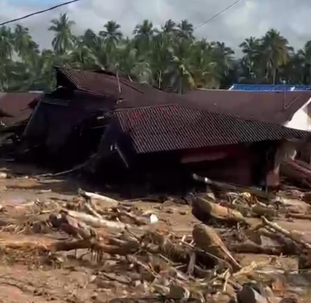 Banjir Bandang Tapsel, Ratusan Kubik Kayu Menumpuk Di Lokasi