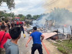 Si Jago Merah Lahap 8 Rumah Di Kotapinang