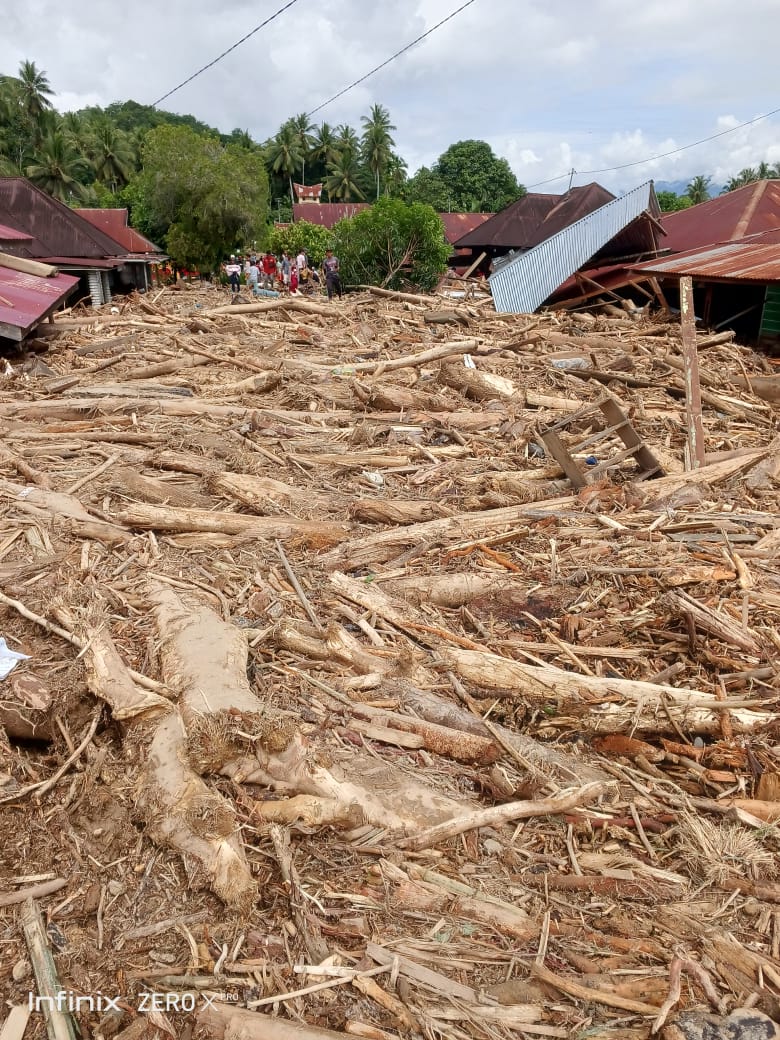 Banjir Bandang Tapsel, Ratusan Kubik Kayu Menumpuk Di Lokasi