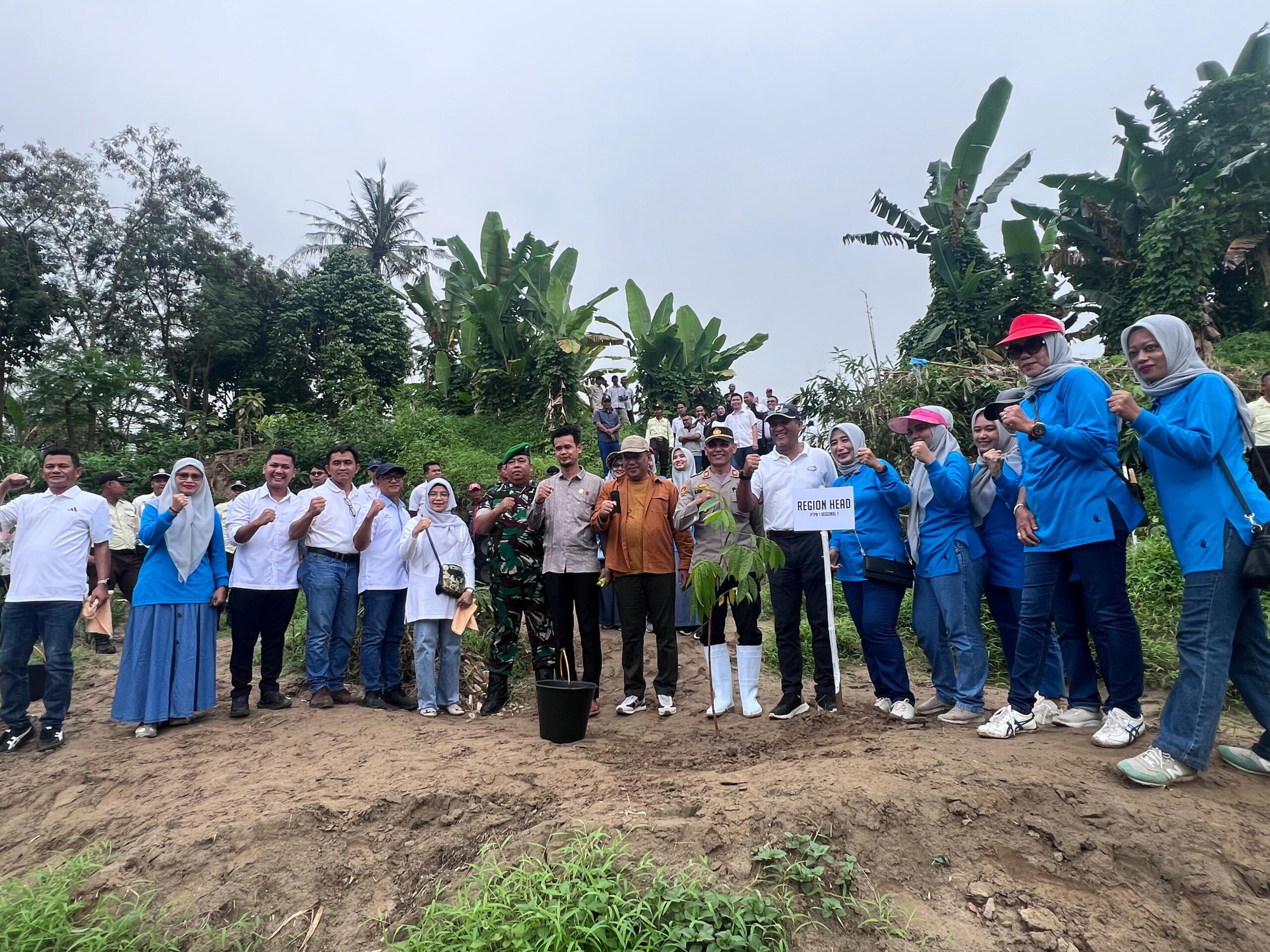 Antispasi Abrasi Dan Banjir, PTPN 1 Regional 1 Tanam Pohon