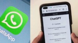 Selain Meta AI, Kita Juga Bisa Gunakan Chat GPT Di Whatsapp