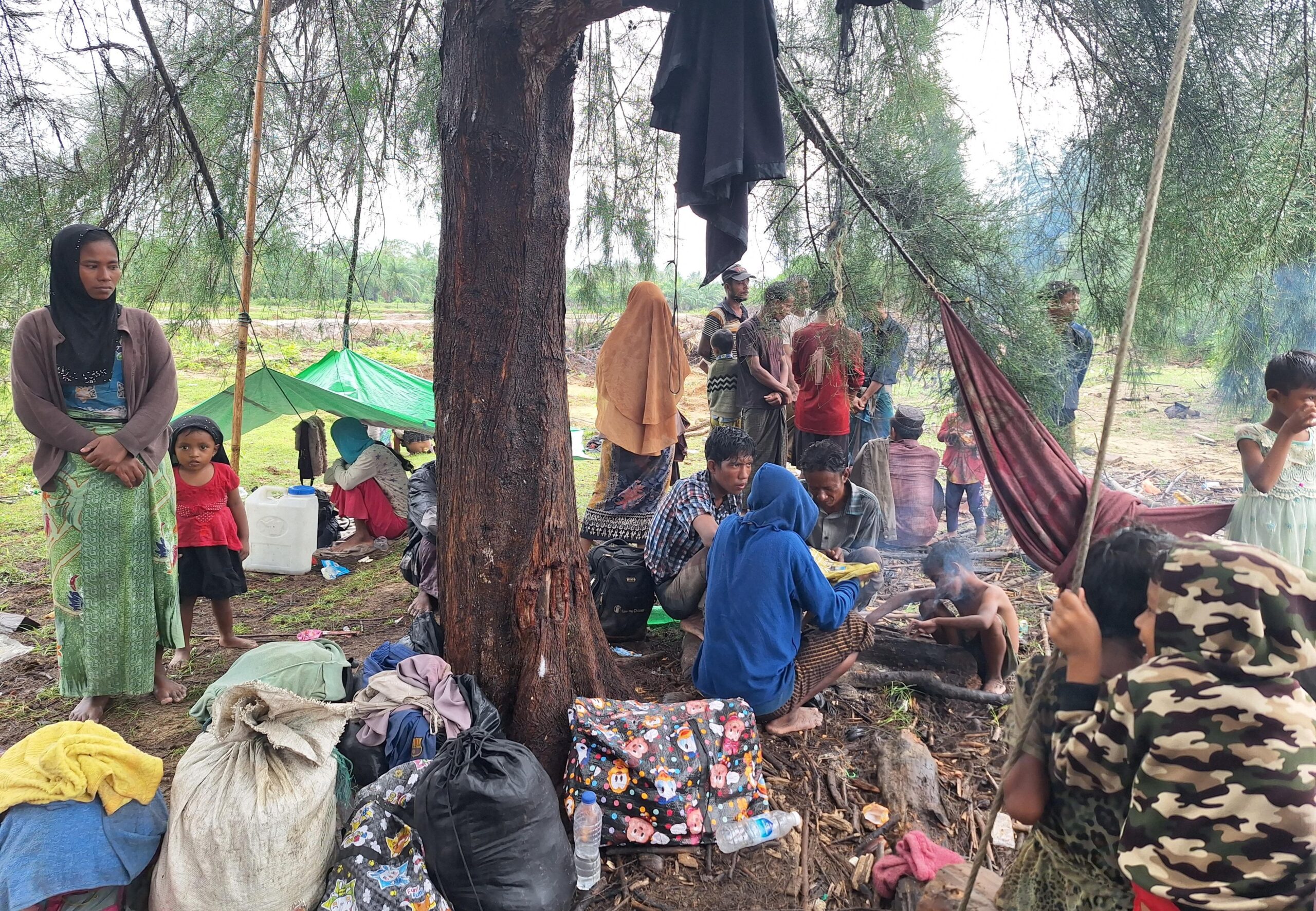 264 Imigran Rohingya Terdampar Di Aceh Timur