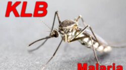 Status KLB Malaria Di Nias Selatan Kembali Diperpanjang