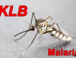 Status KLB Malaria Di Nias Selatan Kembali Diperpanjang