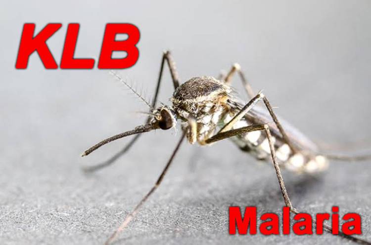 Status KLB Malaria Di Nias Selatan Kembali Diperpanjang