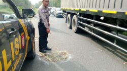 Tertimpa Cabang Pohon Di Jalan Siantar - Perdagangan, 1 Tewas