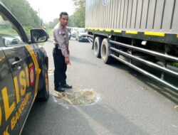 Tertimpa Cabang Pohon Di Jalan Siantar – Perdagangan, 1 Tewas