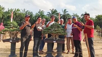 Ratusan Tanaman Bonsai Ramaikan Pameran RUBI Langsa