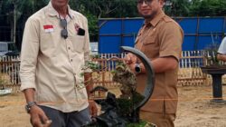 Ratusan Tanaman Bonsai Ramaikan Pameran RUBI Langsa