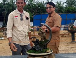 Ratusan Tanaman Bonsai Ramaikan Pameran RUBI Langsa