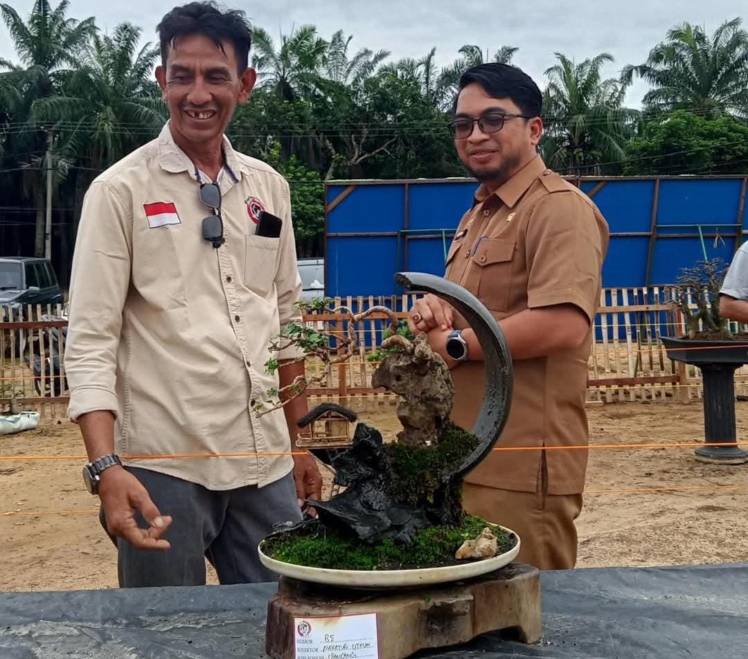 Ratusan Tanaman Bonsai Ramaikan Pameran RUBI Langsa