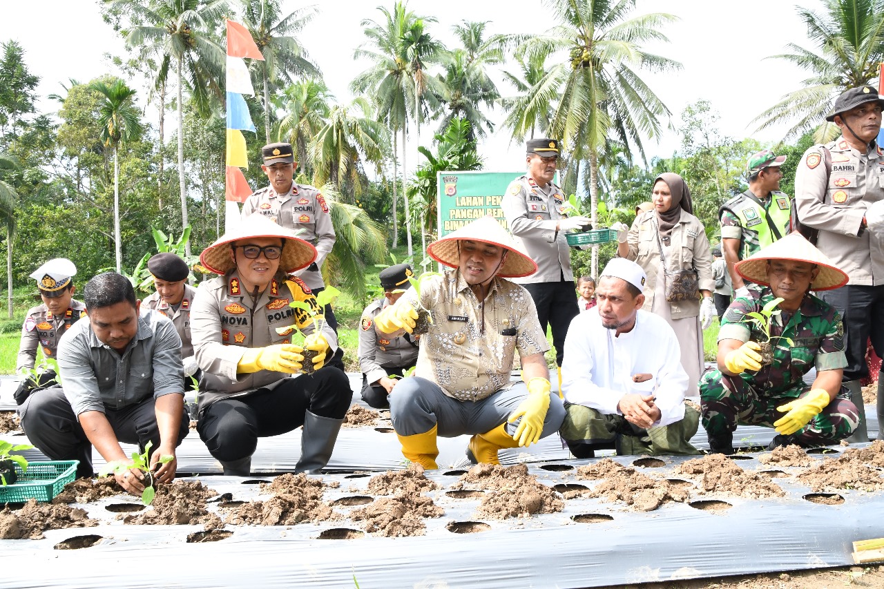 Kelompok Tani Darul Aman Dapat Bantuan Alat Mesin Pertanian