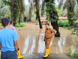 Akibat Meluapnya Sungai Sosa Puluhan Rumah di Sosa Julu Terendam