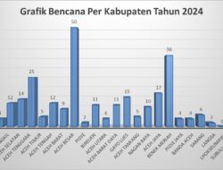 Tahun 2024 Aceh Dilanda 273 Bencana, Kerugian Capai Ratusan Miliar