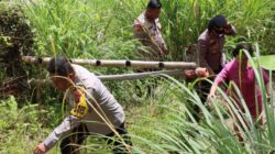 Kapolres Pematangsiantar Tinjau Persiapan Lahan Penanaman Jagung Serentak