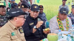 Bersama PJ Bupati Simeulue di sebuah pinggiran sawah saat panen padi di pulau itu. Foto diperoleh dari Rasman Rabu (8/1)