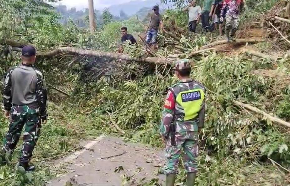 Jalan Lintas Provinsi Di Aceh Timur Tertimbun Longsor