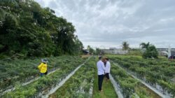 Lapas Narkotika Langsa Buka Lahan Pertanian Bagi Warga Binaan