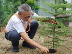 KAI Bandara Dukung Gerakan Satu Juta Pohon