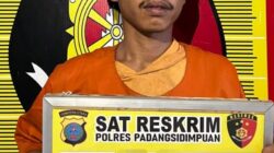 Tersangka MD dan barang bukti, saat diamankan di Mapolres Padangsidimpuan. Waspada/Ist