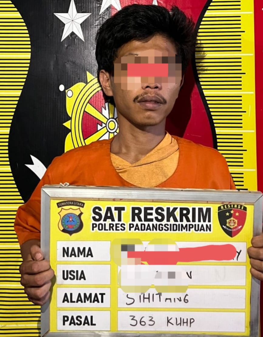 Tersangka MD dan barang bukti, saat diamankan di Mapolres Padangsidimpuan. Waspada/Ist