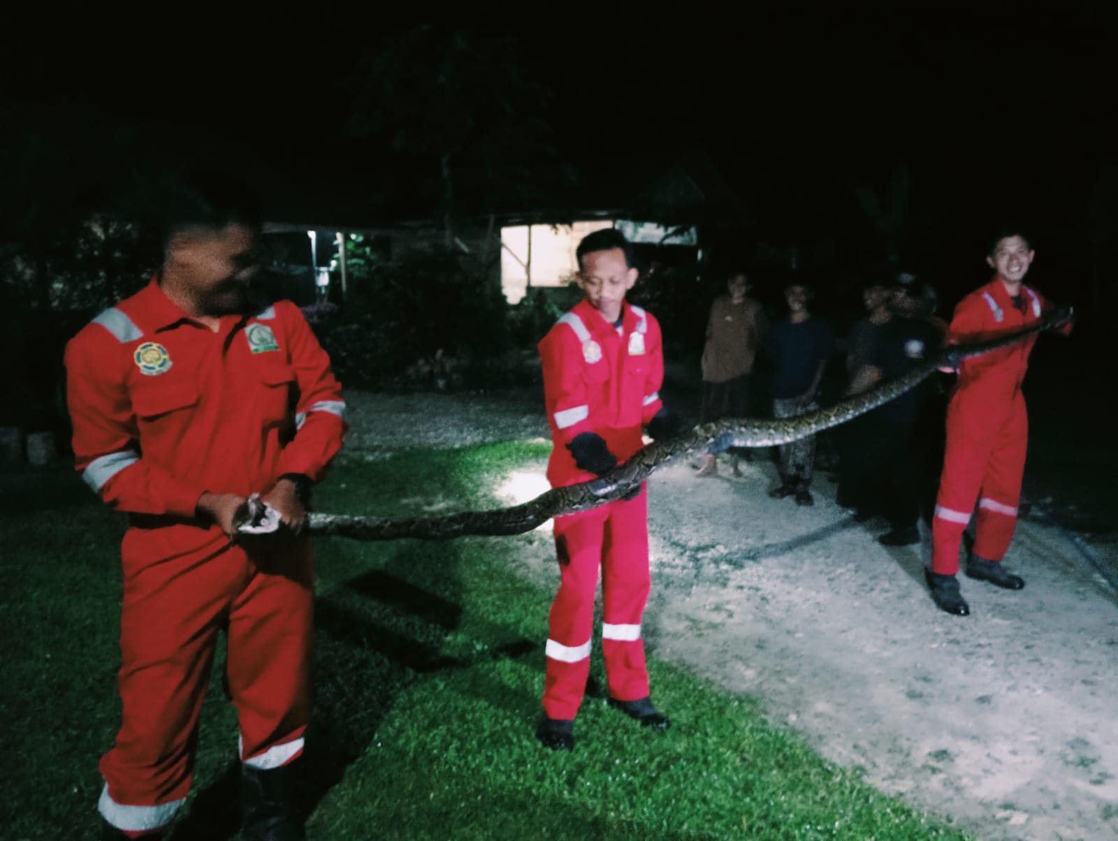 Petugas Damkar Aceh Tamiang berhasil menangkap ular kobra yang masuk kerumah warga di Aceh Tamiang. Waspada/Yusri