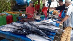 Dukung Program MBG, Nelayan Aceh Utara Butuh Cold Storage