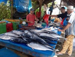 Dukung Program MBG, Nelayan Aceh Utara Butuh Cold Storage