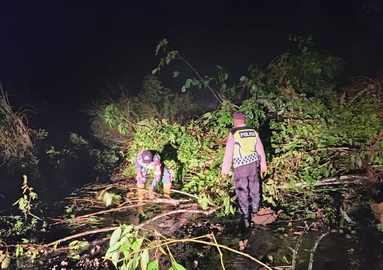 Lintas Aceh Timur - Galus Putus Lagi