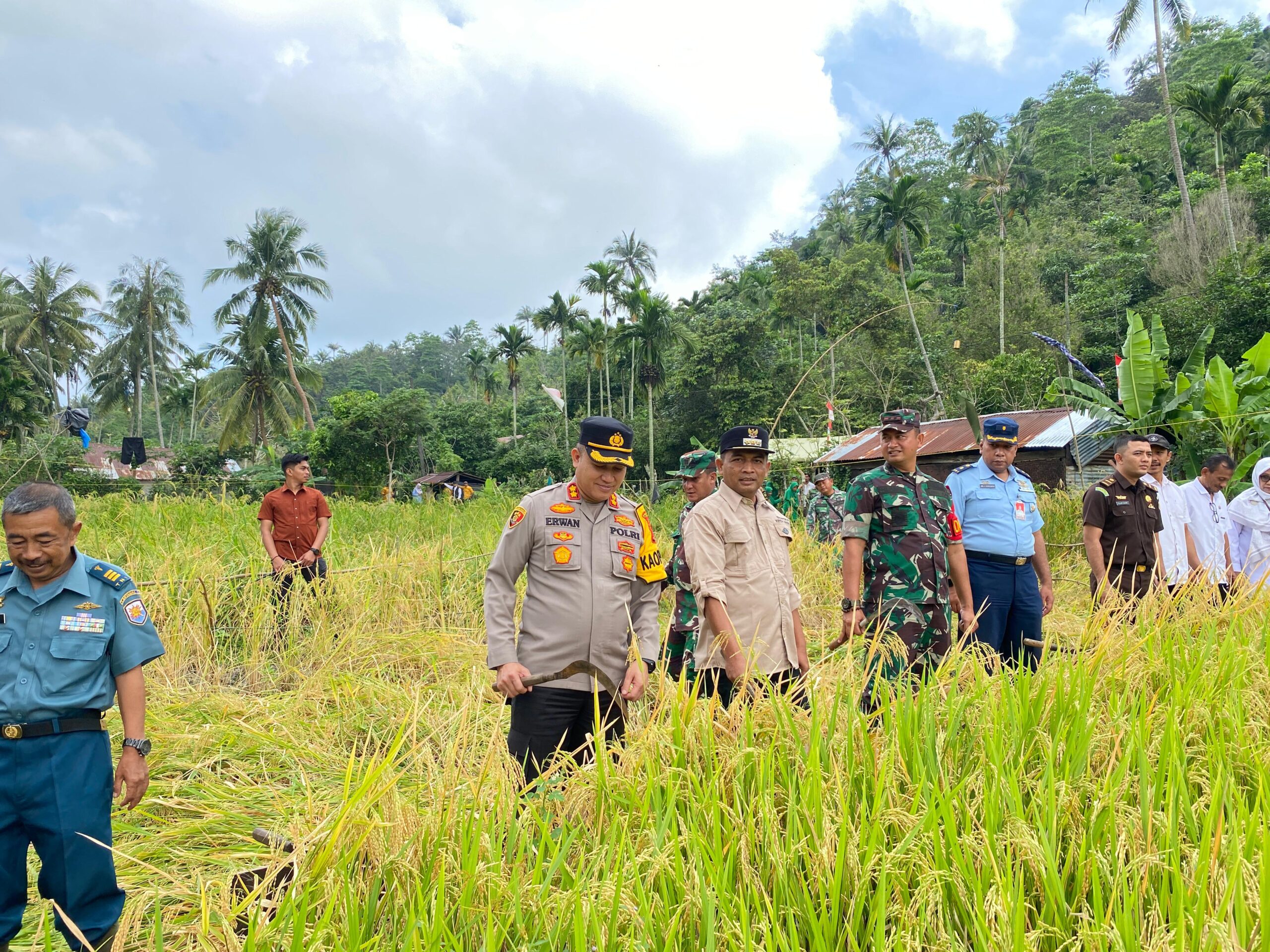 Pj. Wali Kota Dan Kapolres Sabang Hadiri Panen Perdana Padi Gogo