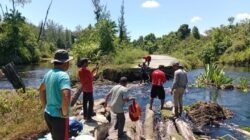 Akses Masyarakat Singkil Dan Aceh Selatan Terganggu Akibat Puluhan Jembatan Putus