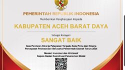 Abdya Raih Penghargaan Kementerian Investasi Dan Hilirasi/BKPM