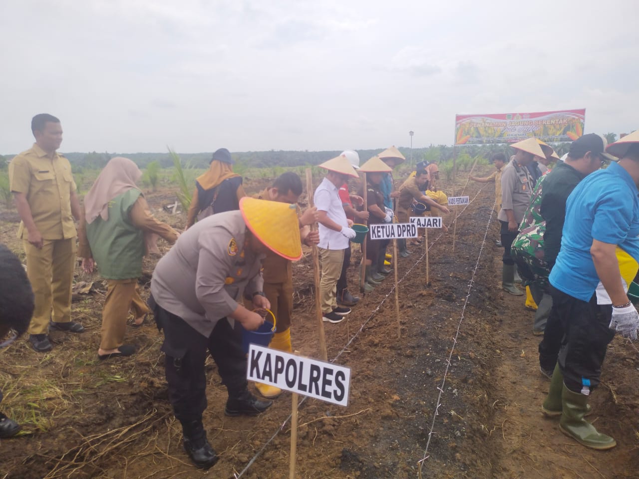 Diari Astetika Tanam 1 Juta Hektare Jagung Di Palas