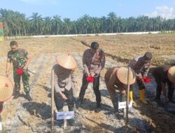 Dukung Ketahanan Pangan, Polres Aceh Tamiang Tanam Jagung