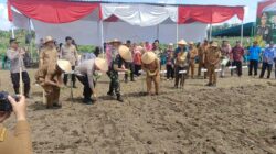 Polres Binjai Tanam Jagung