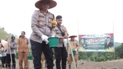 Program Ketapang Polri, Polres Samosir Tanam Jagung 1 Juta Hektare