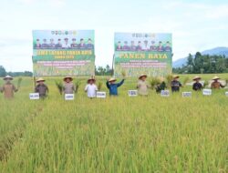 Ubinan Sementara Capai 8,5 Ton Per Hektare, Pj Sunawardi Sebut Abdya Lumbung Pangan Di Aceh