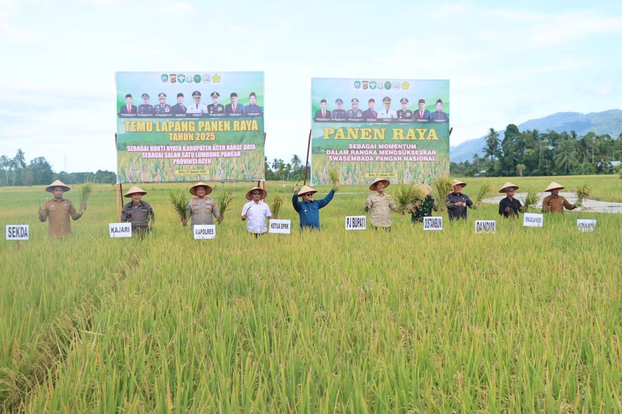 Ubinan Sementara Capai 8,5 Ton Per Hektare, Pj Sunawardi Sebut Abdya Lumbung Pangan Di Aceh