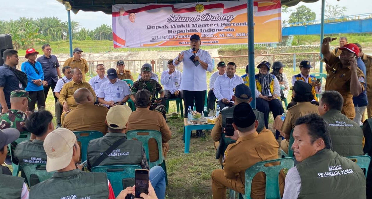 Tinjau Bendungan Rusak Di Deliserdang, Wamentan Janji Benahi Harga Gabah Rp6.500