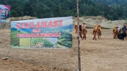 Lahan PETI Kotanopan Direklamasi Dan Ditanami Jagung