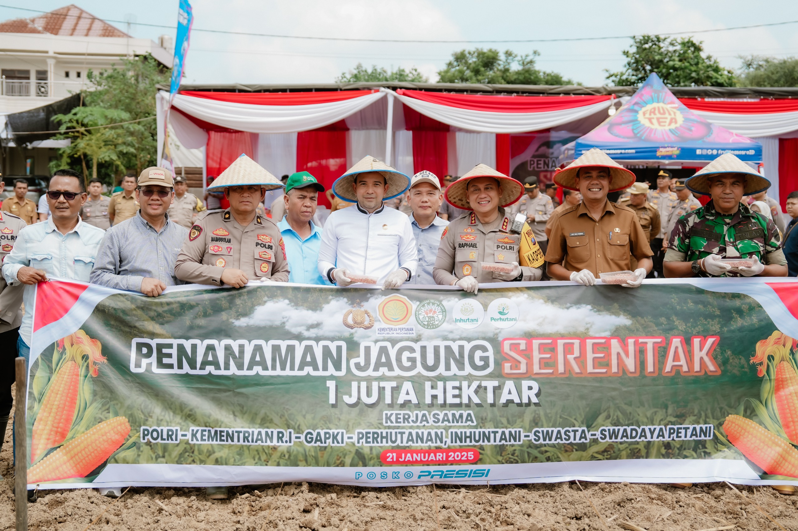 Tanam Jagung Serentak, Wujud Nyata Swasembada Pangan Deliserdang