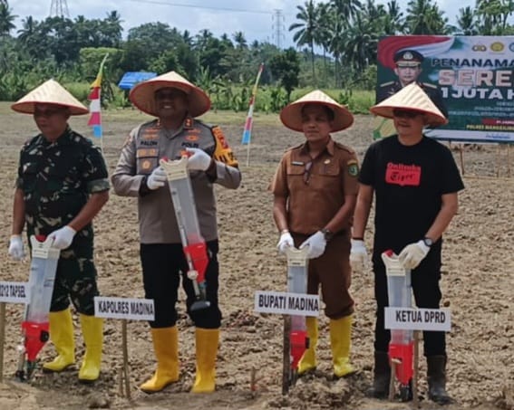 Ketua DPRD Madina Ikut Program Tanam Jagung Serentak