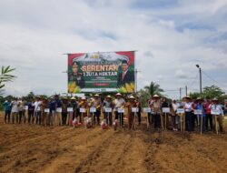 Peluncuran Program Tanam Jagung Serentak Di Subulussalam