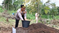 Forkopimda Tapsel Tanam Pohon Durian Di Taman Kantor Bupati