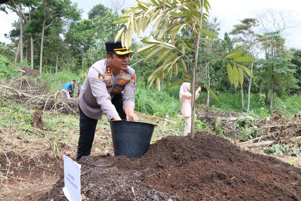 Forkopimda Tapsel Tanam Pohon Durian Di Taman Kantor Bupati